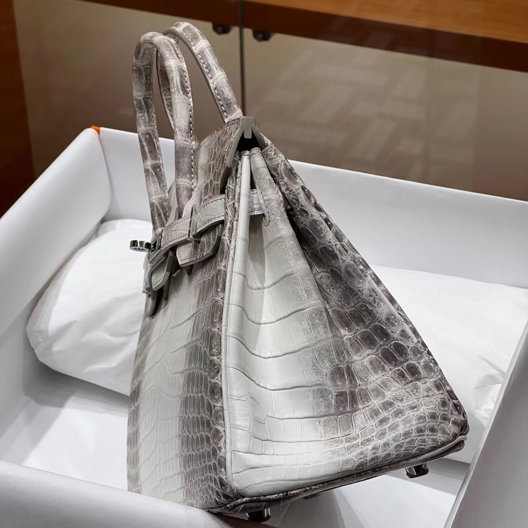 HERMES Birkin 25CM 1 Himalaya  Niloticus Full handmade Birkin fatory SHW