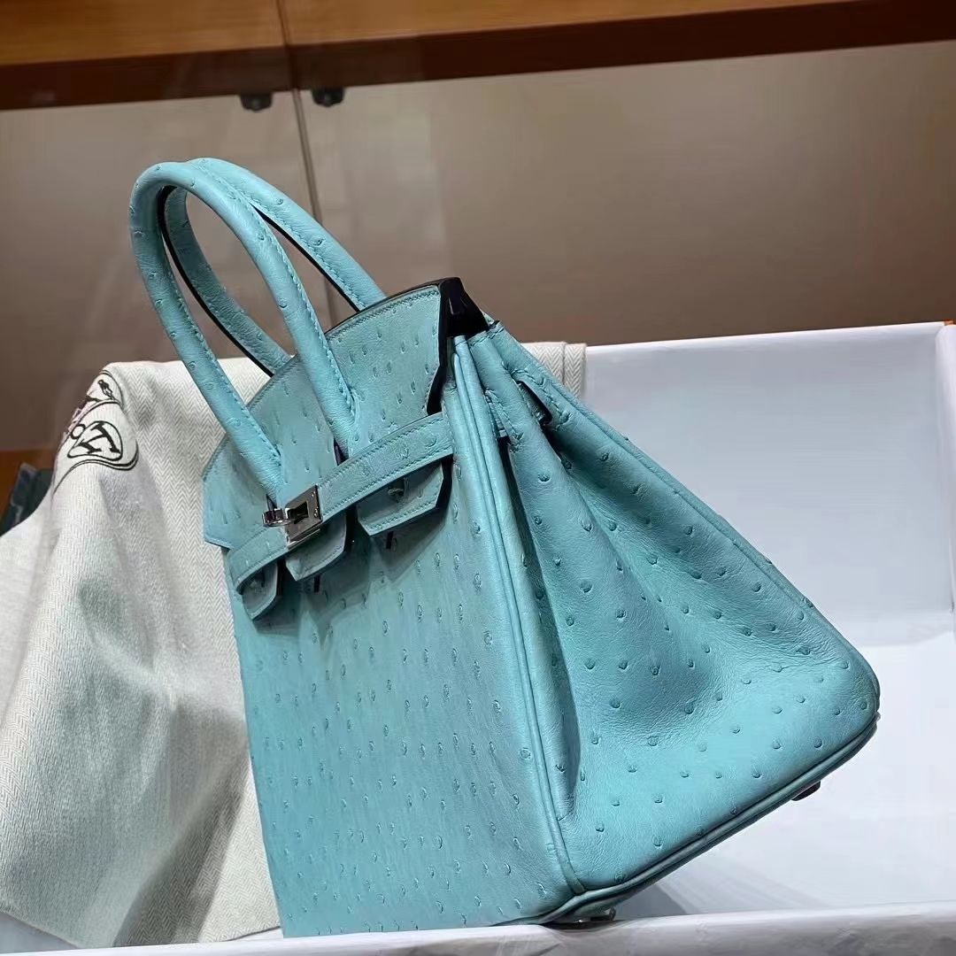 HERMES  Birkin 25CM 3P Ostrich SHW Full handmade fatory