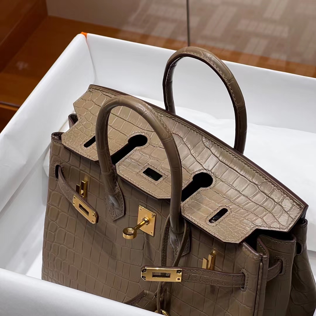 HERMES Birkin 25CM 8C Gri Elephant  Niloticus Full handmade Birkin fatory GHW