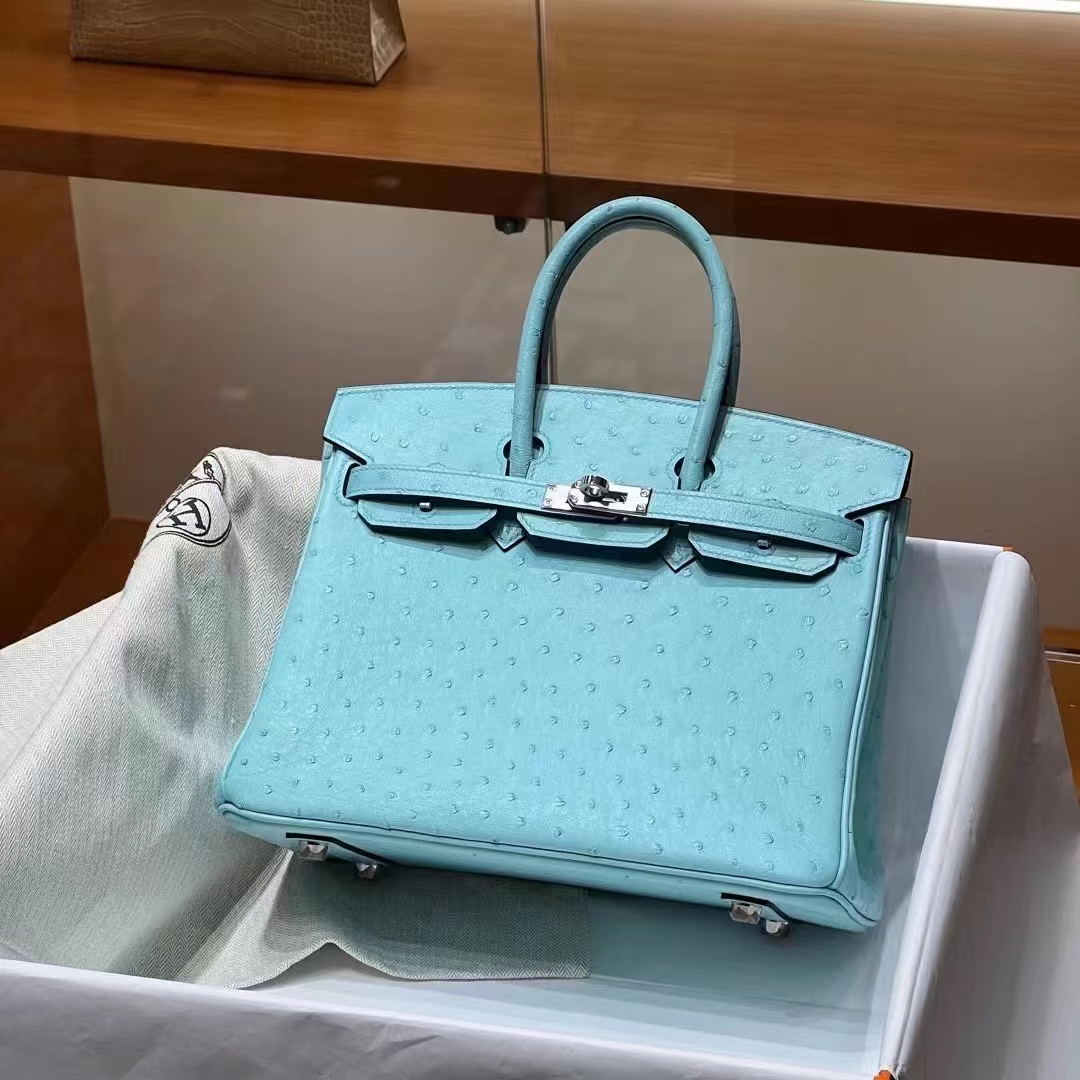 HERMES  Birkin 25CM 3P Ostrich SHW Full handmade fatory
