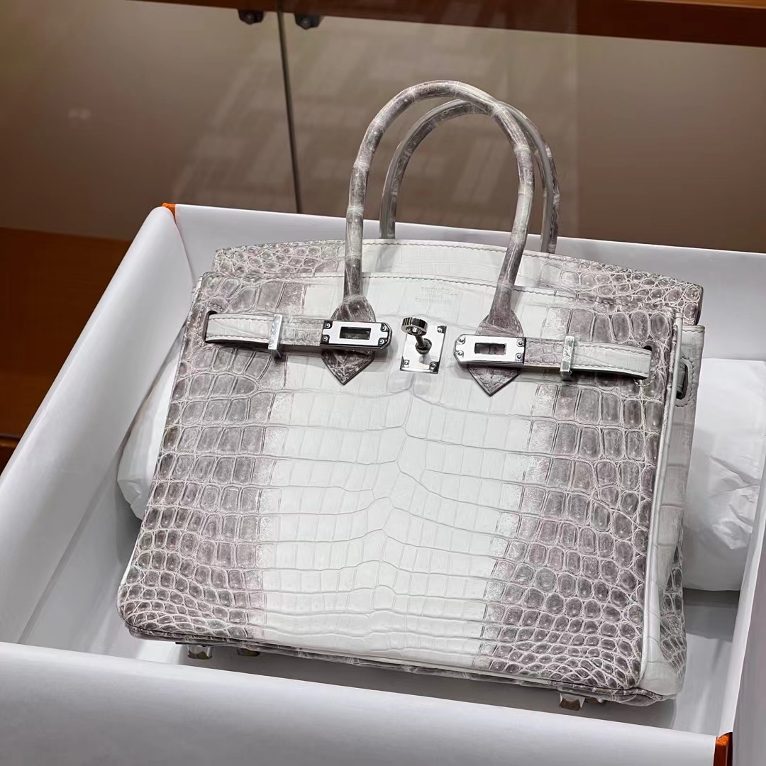 HERMES Birkin 25CM 1 Himalaya  Niloticus Full handmade Birkin fatory SHW