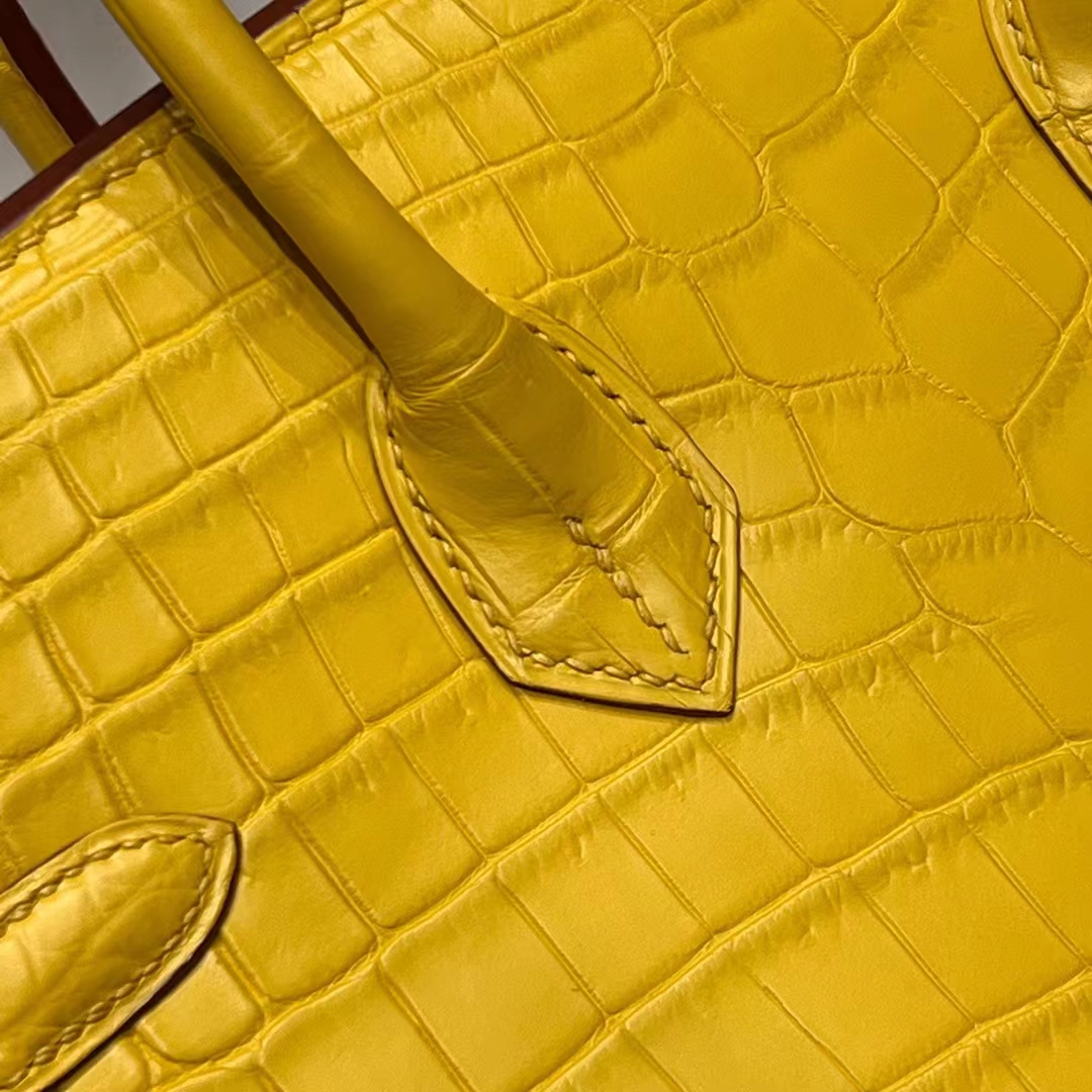 HERMES Birkin 25CM 9D Niloticus Full handmade Birkin fatory GHW