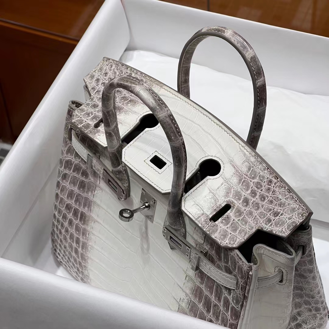 HERMES Birkin 25CM 1 Himalaya  Niloticus Full handmade Birkin fatory SHW