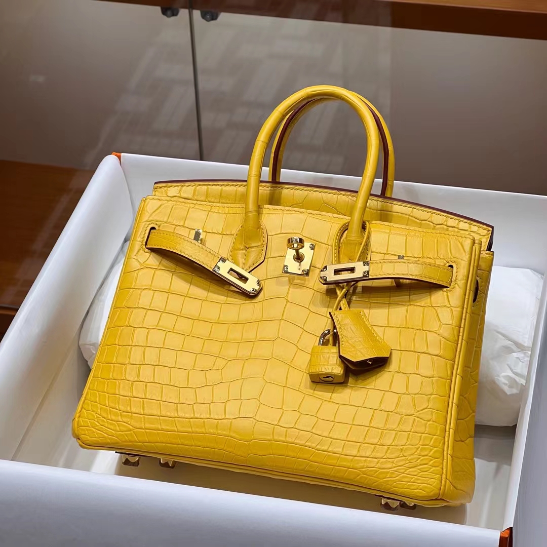 HERMES Birkin 25CM 9D Niloticus Full handmade Birkin fatory GHW