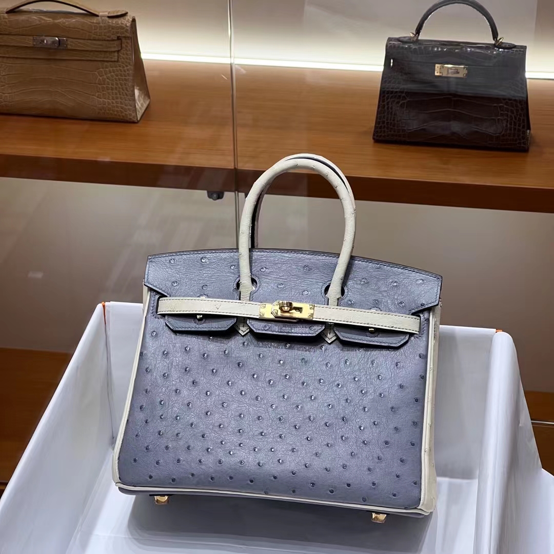 HERMES  Birkin 25CM 8U Bleu Glacler 10 Craie Ostrich GHW Full handmade fatory