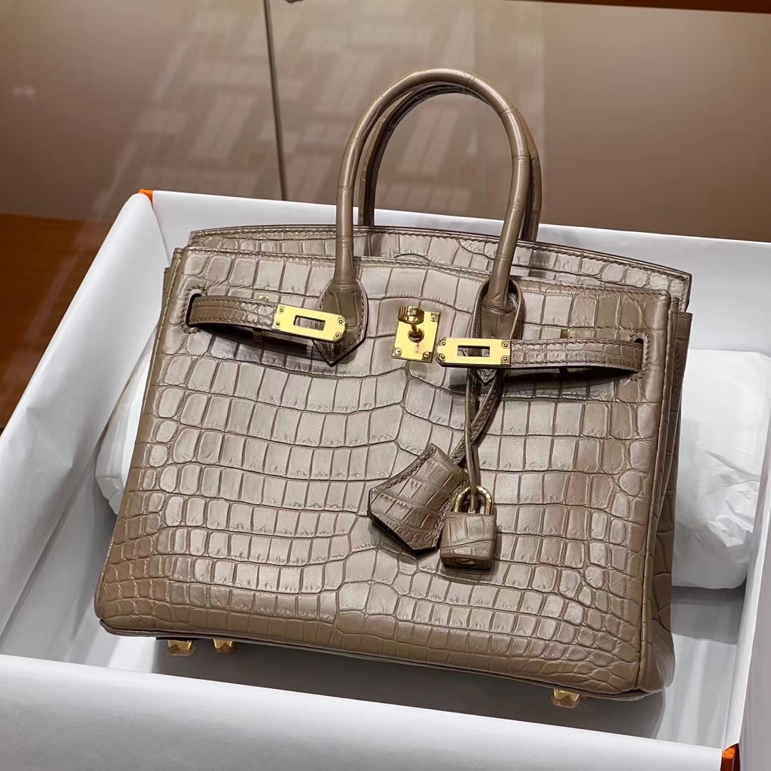 HERMES Birkin 25CM 8C Gri Elephant  Niloticus Full handmade Birkin fatory GHW