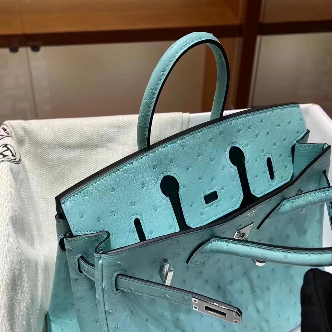 HERMES  Birkin 25CM 3P Ostrich SHW Full handmade fatory